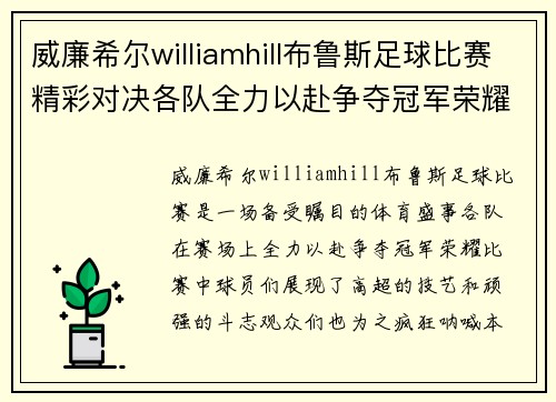 威廉希尔williamhill布鲁斯足球比赛精彩对决各队全力以赴争夺冠军荣耀
